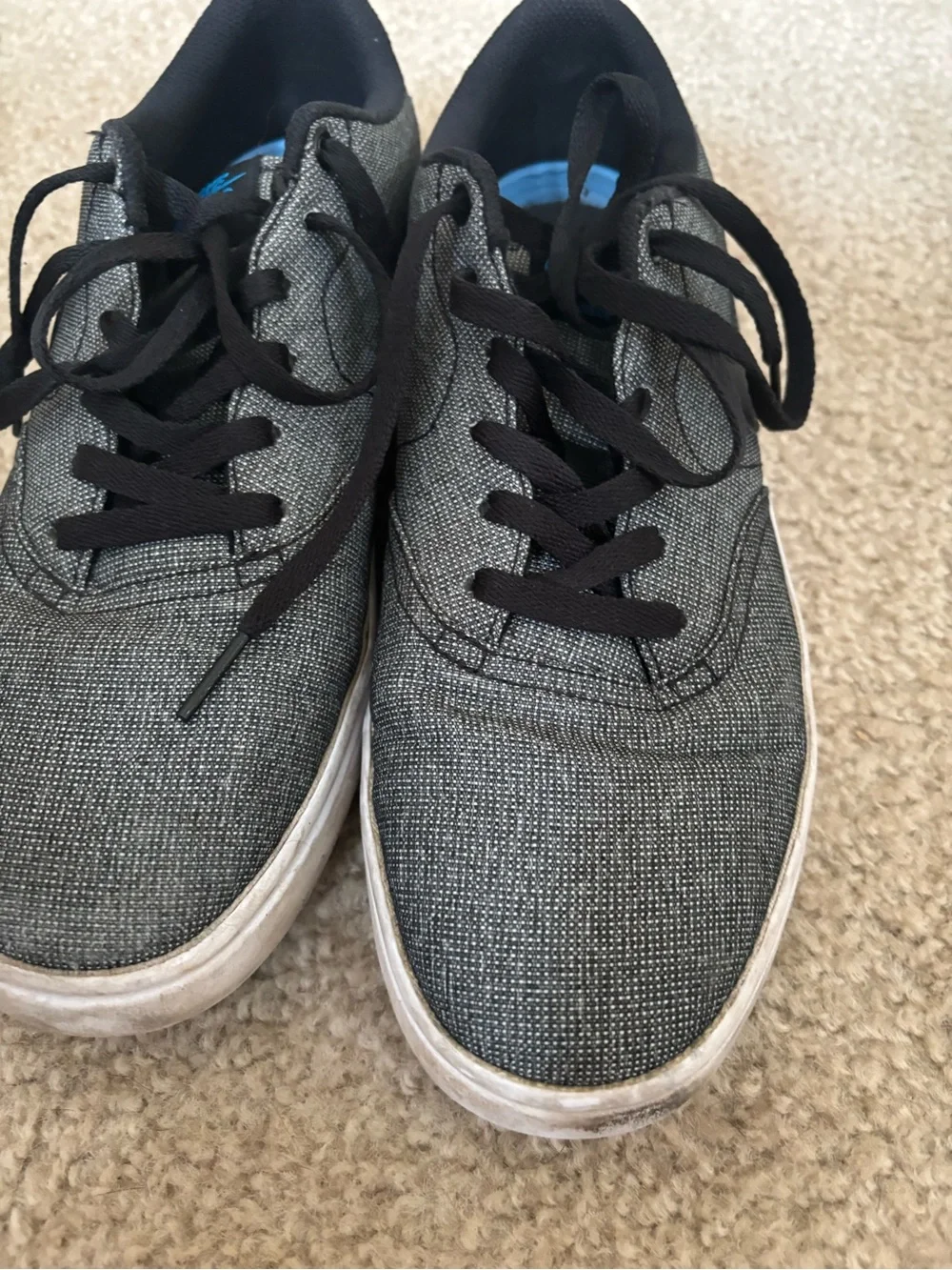 Nike Black and Blue SB Low-Top Canvas Sneakers